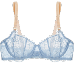 transparent-lingerie:  Stella McCartney, “Giselle Charming”: