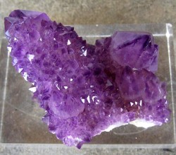 ifuckingloveminerals:  Quartz var: AmethystBoekenhoutshoek area,