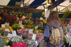 avocloudo:market stalls