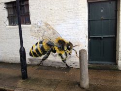 fer1972:  ‘Save the Bees’: Street Art Project by Louis Masai