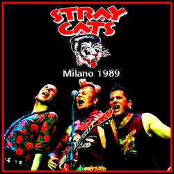 straycatsfangirl:  ♫”’INTERVISTA AGLI STRAY CATS Di Fabio