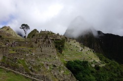 magic en la mañana. from wanderings in Machu Picchu. Jan 2017.