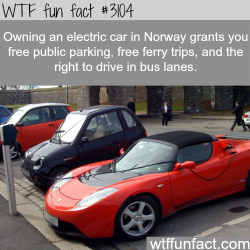 wtf-fun-factss:  Owning an electric car in Norway -  WTF fun