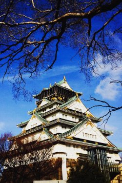 visualechoess:  Osaka Castle - © lin nengbin 