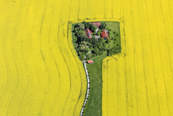 pincuo:  Farm In The Rape Field (by Aerial Photography)