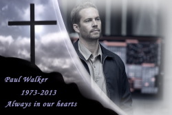 anita-norvik:  Paul Walker  Always in our hearts