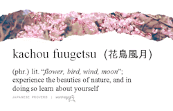 word-stuck:  “Figuratively, 花鳥風月 means that the