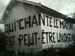 Qui chante le matin est peut-être un oiseau.