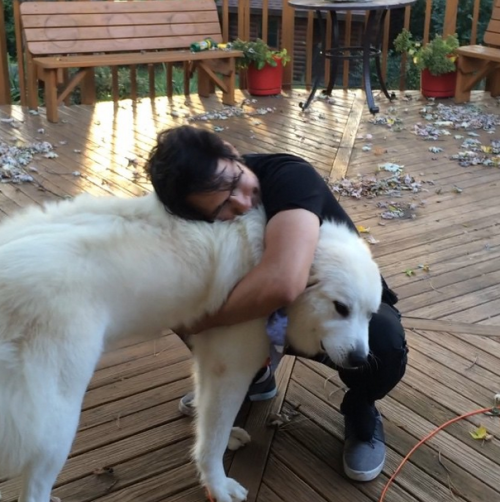 pucklexis:  Markiplier and his puppies.