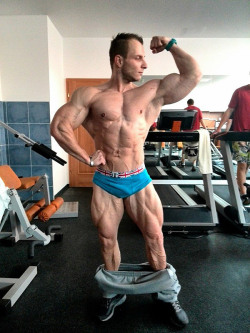 muscledlust:  Lean, tight, pale muscle and a wicked hairline. 