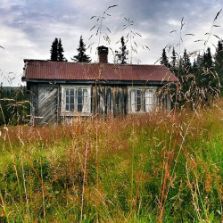 homeintheforest:  by trijaks http://ift.tt/1nlyHIy by visitnorway.com