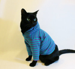 wickedclothes:  Teal / Purple Striped Cat Hoodie Add some style