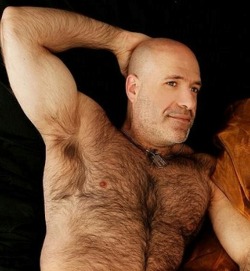 daddy-bear-hunter:  daddy-bear-hunter