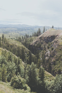 man-and-camera:  Upper Canyon Falls III ➾ Luke Gram 