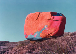 cytogenesis:  Ricky Yeung Sau Churk, Earth Art, Shek O, 1985