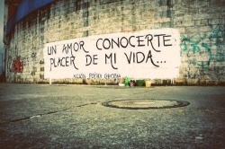 accion–poetica:  Un amor conocerte placer de mi vida.