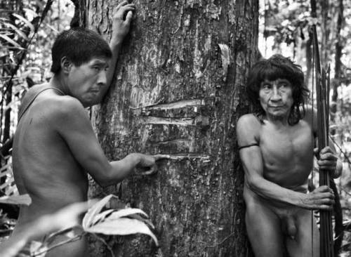 The Awá, by Sebastião Salgado“The loggers are ruining our forest. There is not enough food, not enough fish. After we drink, we have stomach aches – they throw rubbish in the rivers.There are roads right through the middle of the forest. The loggers