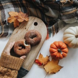 All Things Autumn