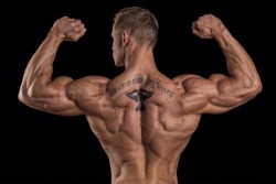 Adonis Files