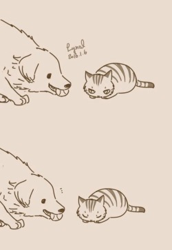 noisy–brain: pr1nceshawn: Dogs And Cats  by Lynol  .  This