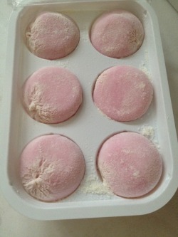 su-fujino:Bought mochi icecream 💕