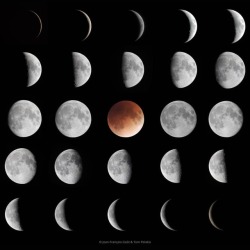 Phases of the Moon #nasa #apod #moon #satellite #phasesofthemoon