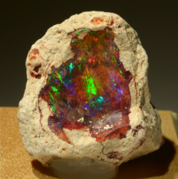 mineralists:  Opal Nodule