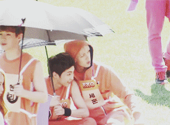 baekyun:  minseok and sehun sharing an umbrella; for mOnny 