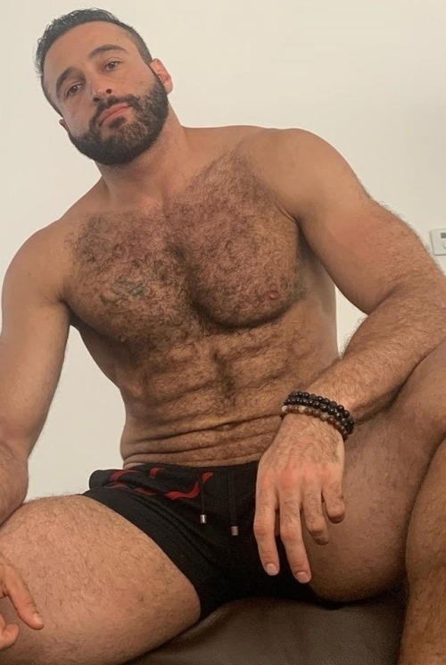 Rico Bear