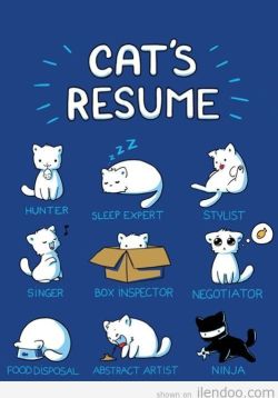 anakkucingmengeonk:  Cute Cat Resume~!