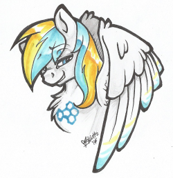 Cirrus-Sky’s OC Colored bust sketch :D