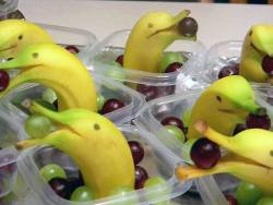 stunningpicture:  Banana Dolphins.