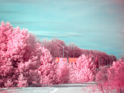 maccalarco:  Infrared III, by Mac Calarco | Tumblr Here’s a