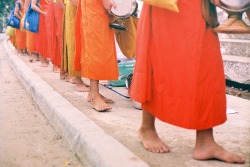 uosu:  MONKS IN LUANG PRABANG