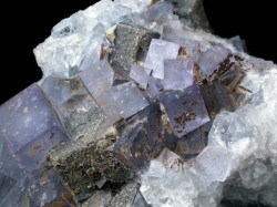 fuckyeahmineralogy:  Fluorite with Anglesite on Galena; Royal