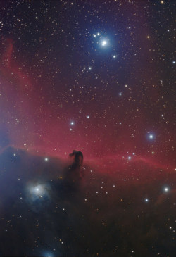 back-to-the-stars-again: The Horsehead Nebula, Barnard 33, in
