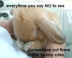 Say yes and make a bunny smile  :)