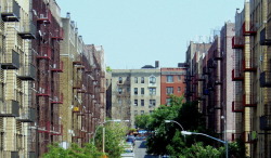wanderingnewyork:Looking up Elliot Place in Mount Eden, the Bronx.