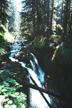 stepontotheplanet:Sol Duc Falls, WA Home ❤️