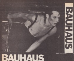 gothglammetal:Peter Murphy - Bauhaus - looking lovely