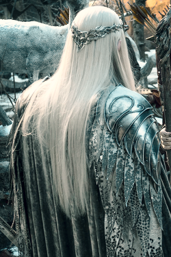 stormbornvalkyrie:  Thranduil’s armour in The Hobbit: The Battle