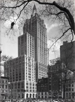 vintagemanhattanskyline:  The 33-story New York Life Building.