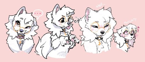 faefox-art:doggy expressions for Faelly and Bunny