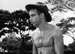 jacquesdemys: Montgomery Clift in From Here to Eternity (1953)