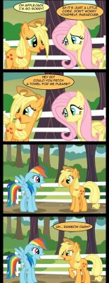 tchernobog:  clara-moon-mlp:  Cider  Someone’s gonna get pounced