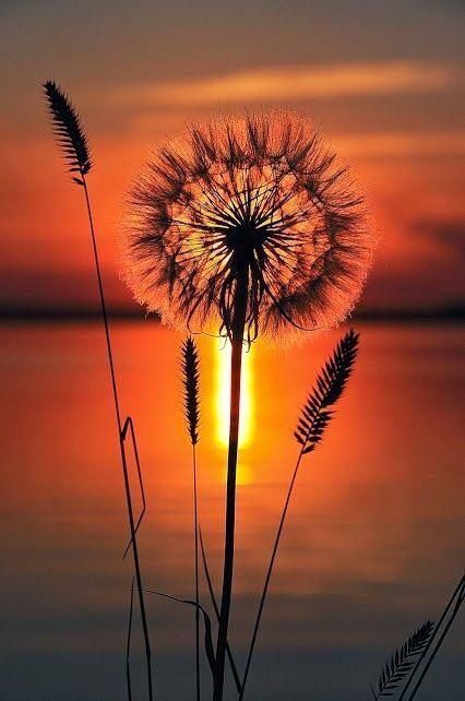 mannheimgirls:s-usans-blog:Happy Weekend..  😊👍🏼😍