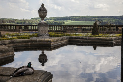 theladyintweed: Harewood House, Terrace View, Harewood, West