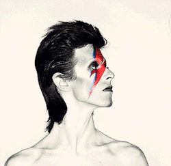 lovequotesrus:  David Bowie Everything you love is here