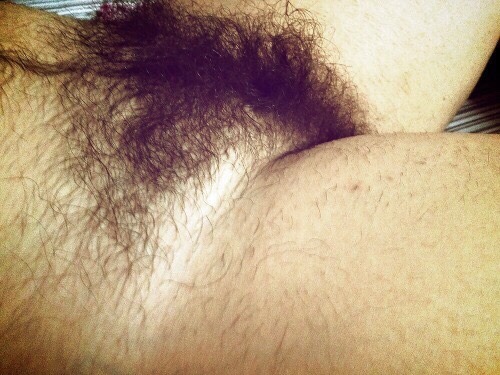 hairyhariest: Just wanna play with it….Please?😍😘😋
