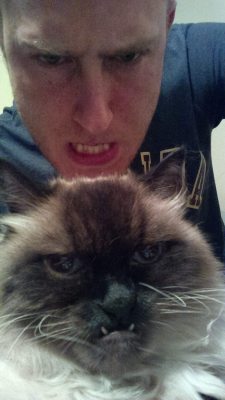 cute-overload:  Grumpy cat ain’t got nothin on Beanshttp://cute-overload.tumblr.com